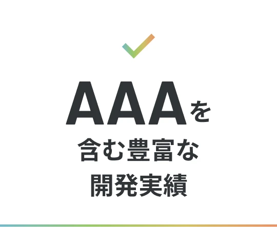 AAAを含む豊富な開発実績